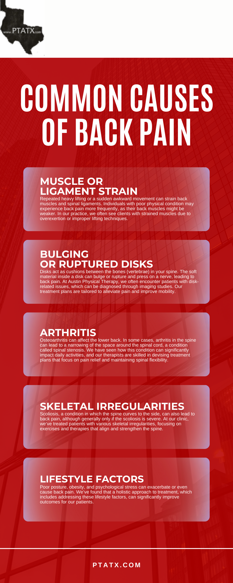 Common Causes Of Back Pain Infographic