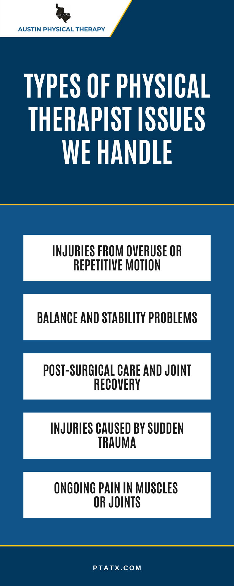 Types Of Physical Therapist Issues We Handle Infographic